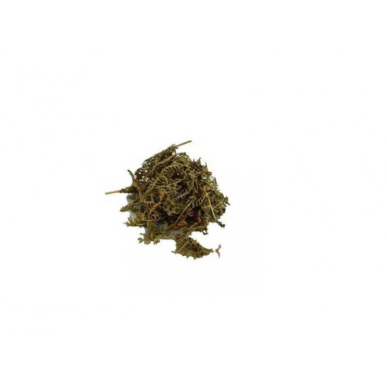 Eğrelti Otu Doğal 100 Gr Paket